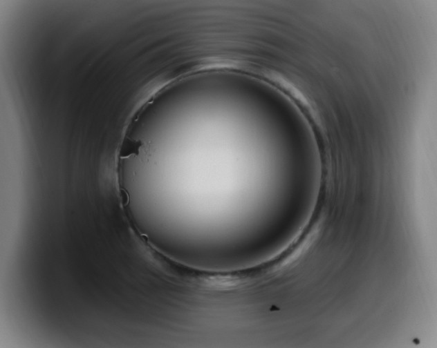 X0000099951137200805301231