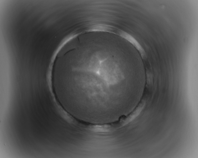 X0000099951138200805301231