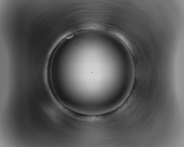 X0000099951139200805301231