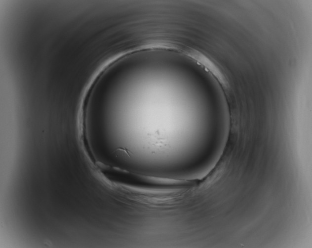 X0000099951140200805301231