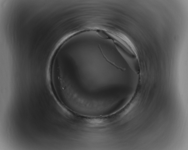 X0000099951141200805301231