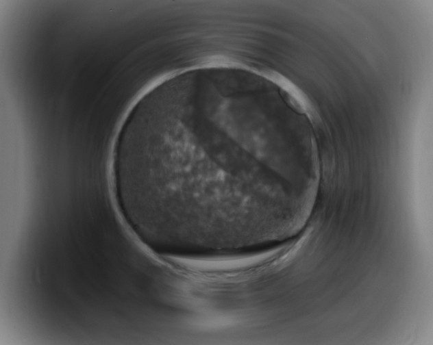 X0000099951142200805301231