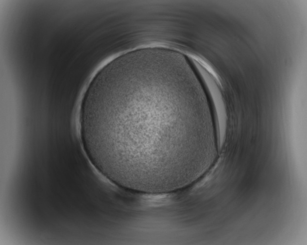 X0000099951143200805301231