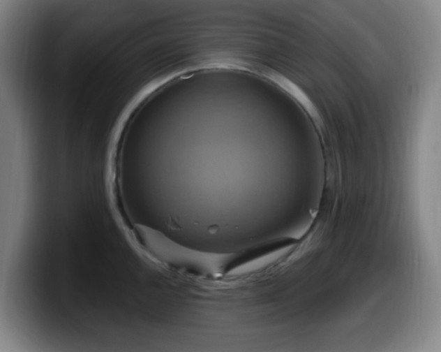 X0000099951144200805301231