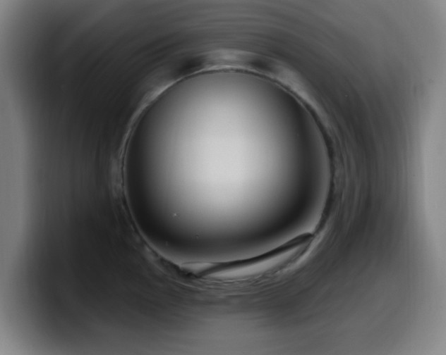 X0000099951145200805301231
