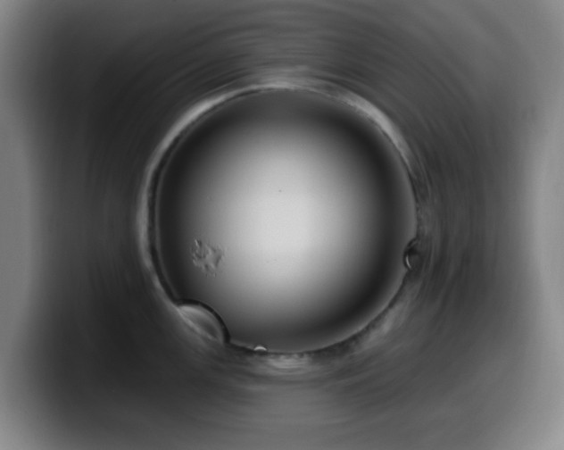 X0000099951147200805301231