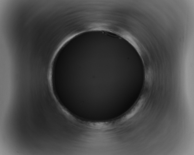 X0000099951149200805301231