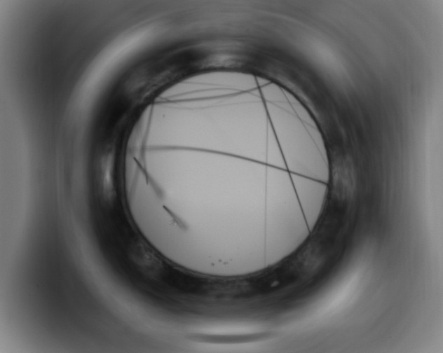 X0000099951150200805301231