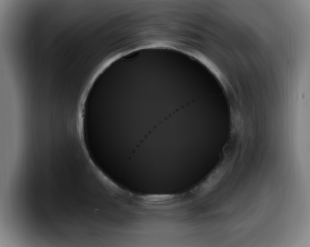 X0000099951151200805301231