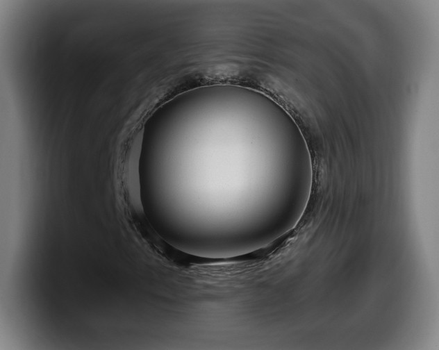 X0000099951153200805301231