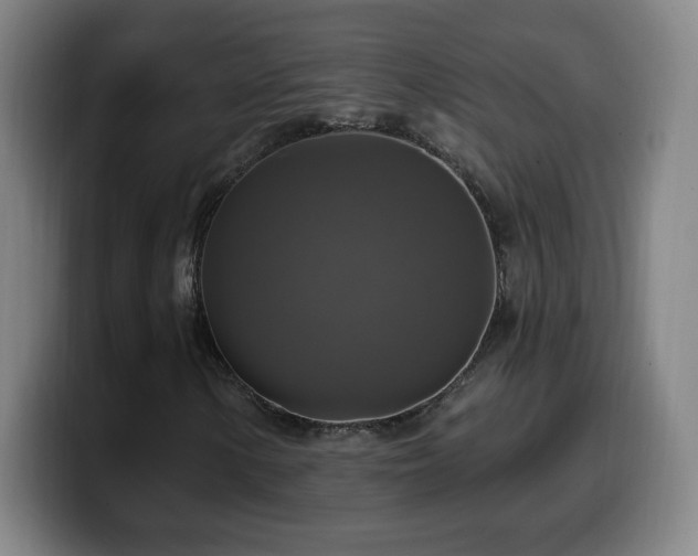 X0000099951154200805301231