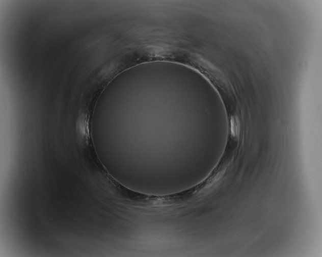 X0000099951155200805301231