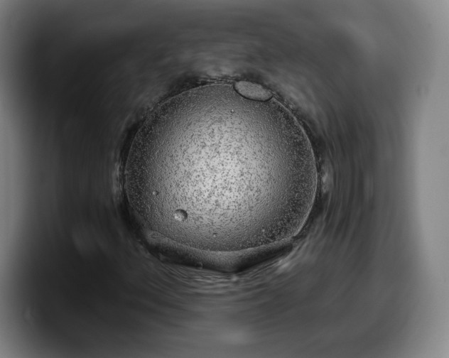 X0000099951156200805301231