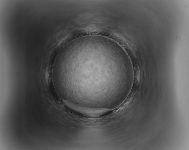 X0000099951157200805301231