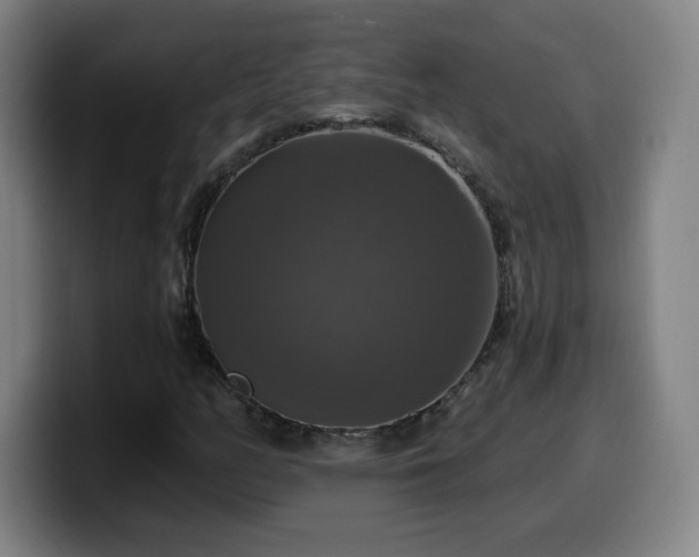 X0000099951158200805301231
