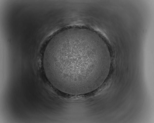 X0000099951159200805301231