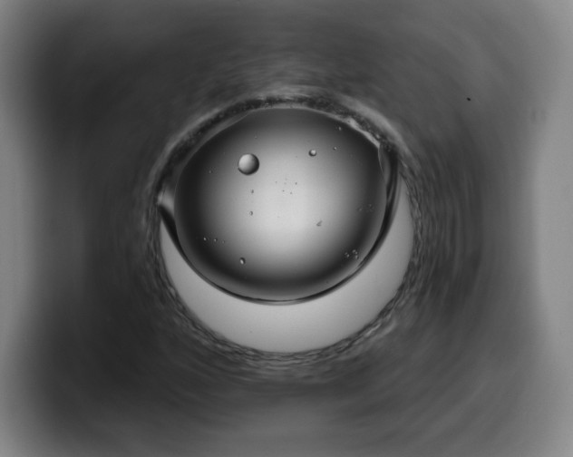 X0000099951160200805301231