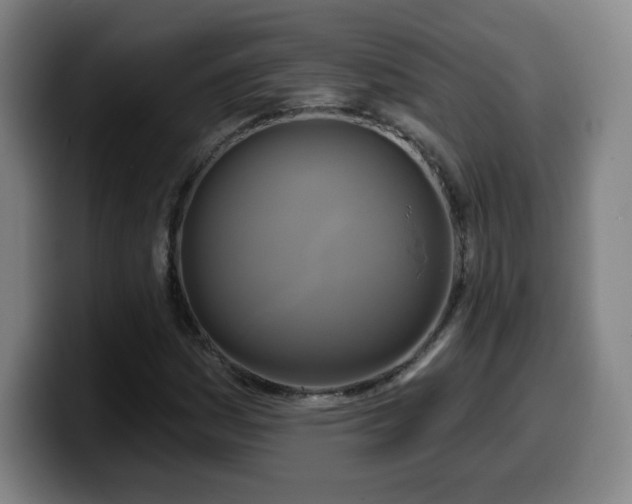 X0000099951161200805301231