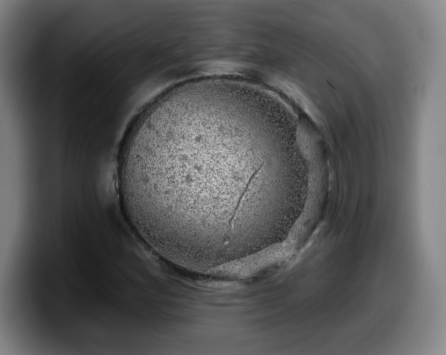X0000099951164200805301231