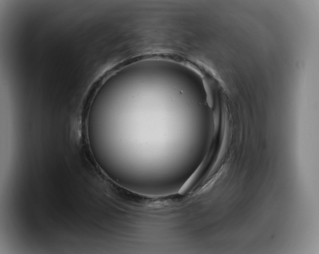 X0000099951165200805301231