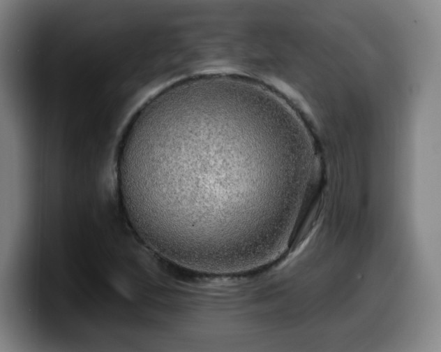 X0000099951167200805301231