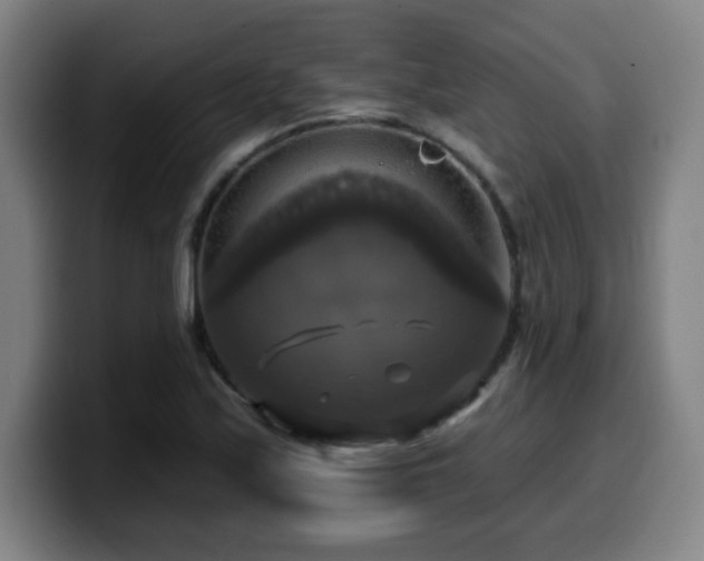 X0000099951171200805301231