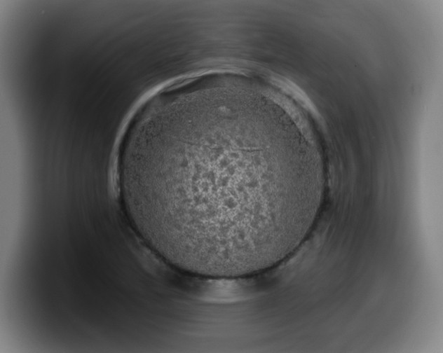 X0000099951172200805301231