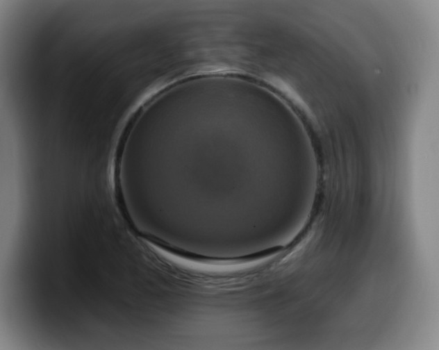 X0000099951173200805301231