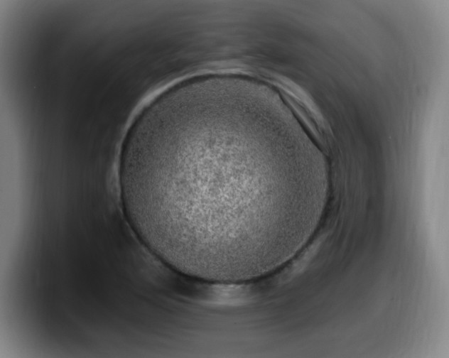 X0000099951176200805301231