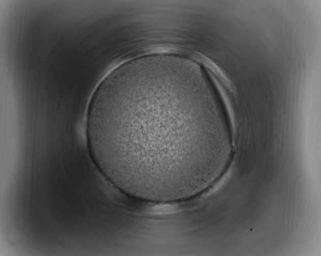 X0000099951178200805301231
