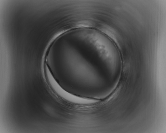 X0000099951179200805301231