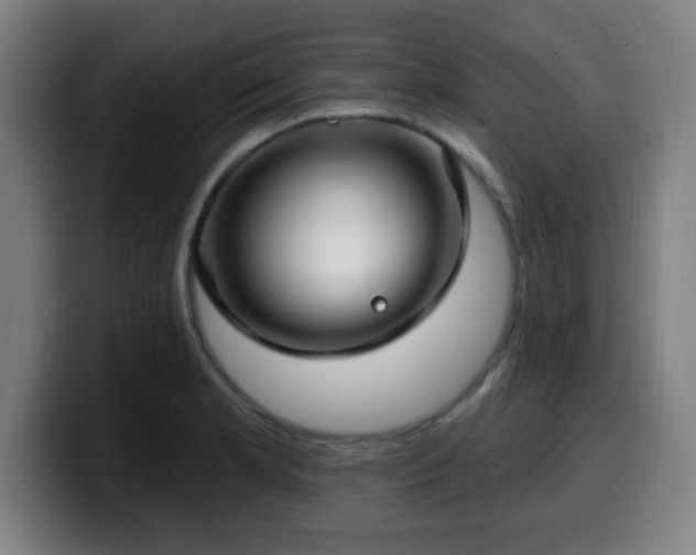 X0000099951181200805301231