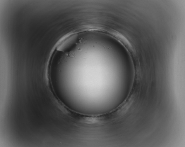 X0000099951182200805301231