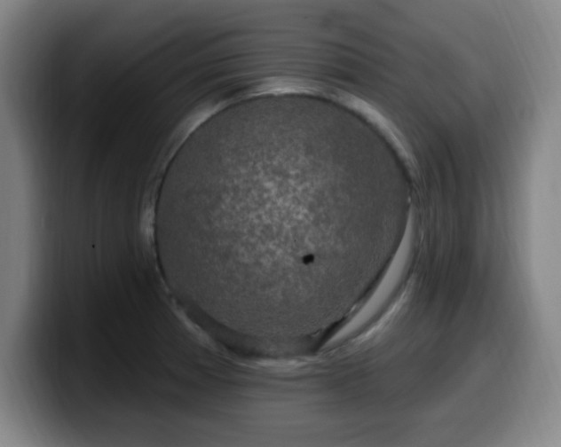 X0000099951185200805301230