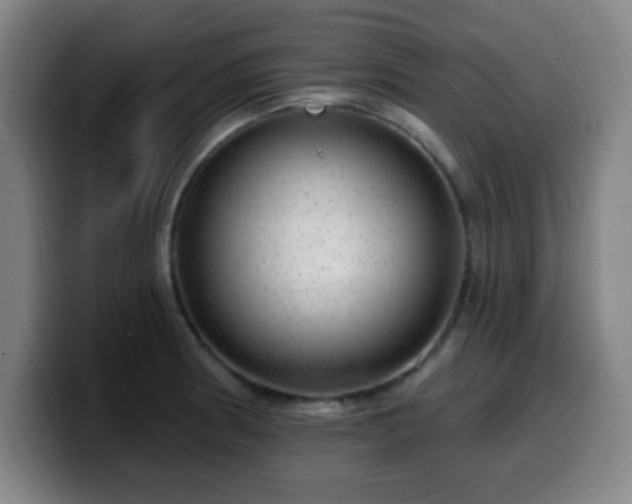 X0000099951186200805301230