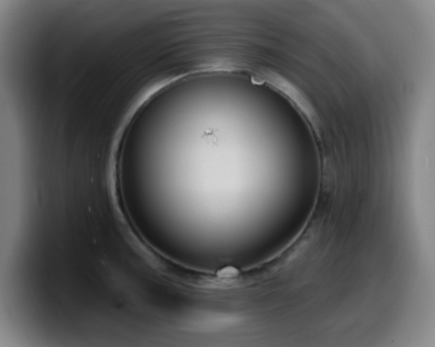 X0000099951187200805301230