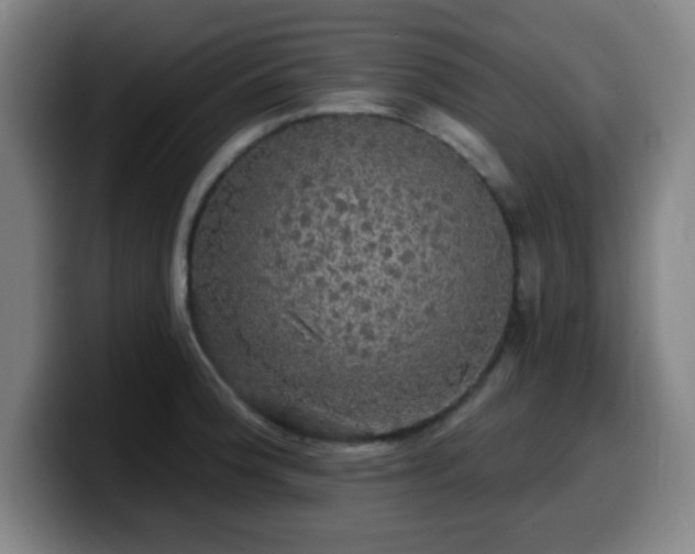 X0000099951188200805301230