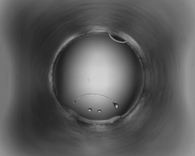 X0000099951190200805301230