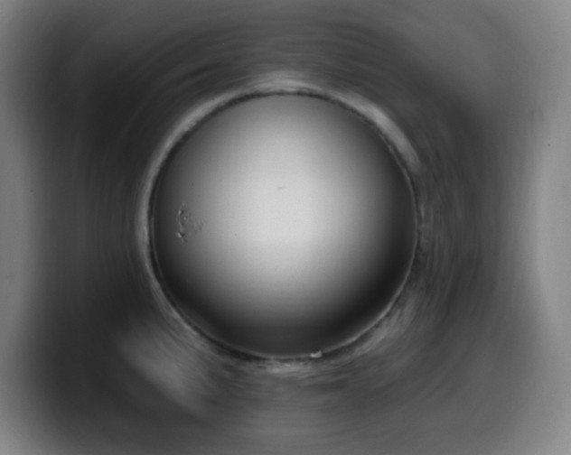 X0000099951191200805301230