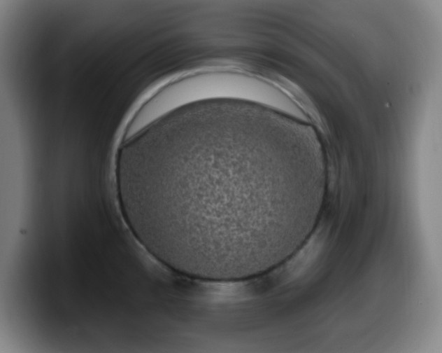 X0000099951192200805301230
