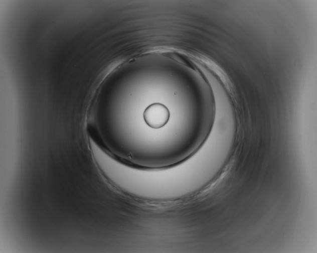 X0000099951193200805301230