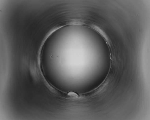 X0000099951195200805301230
