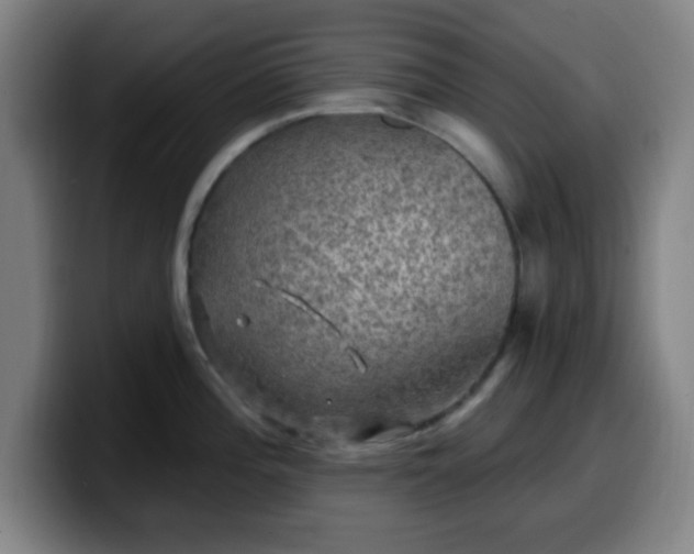 X0000099951196200805301230