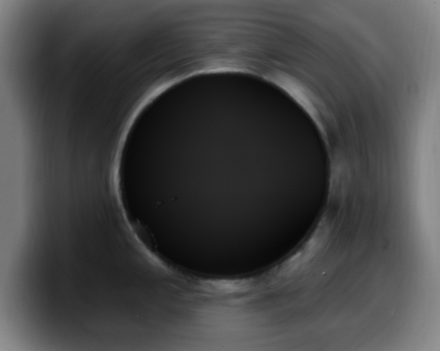 X0000099951197200805301230