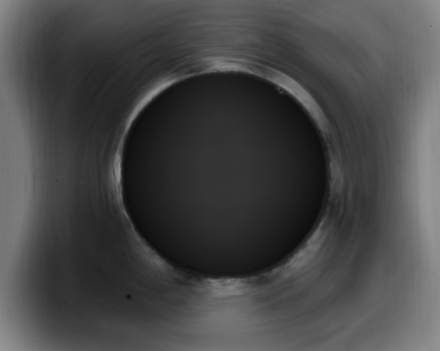 X0000099951198200805301230