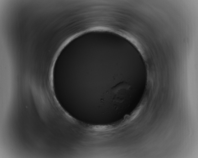 X0000099951199200805301230