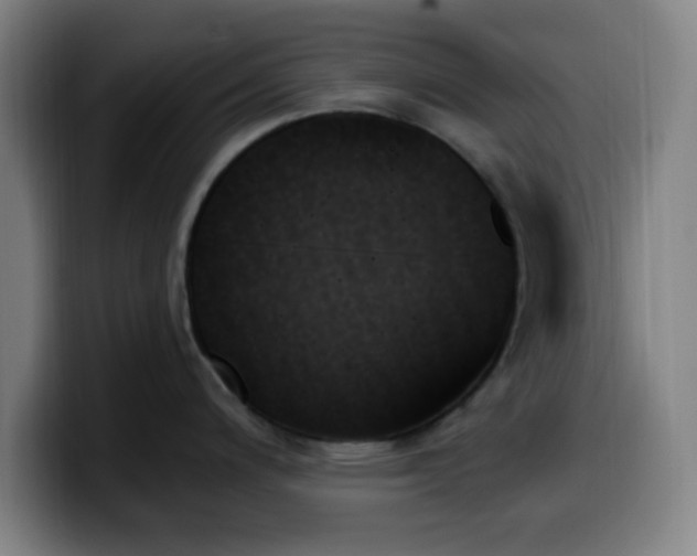 X0000099951200200805301230