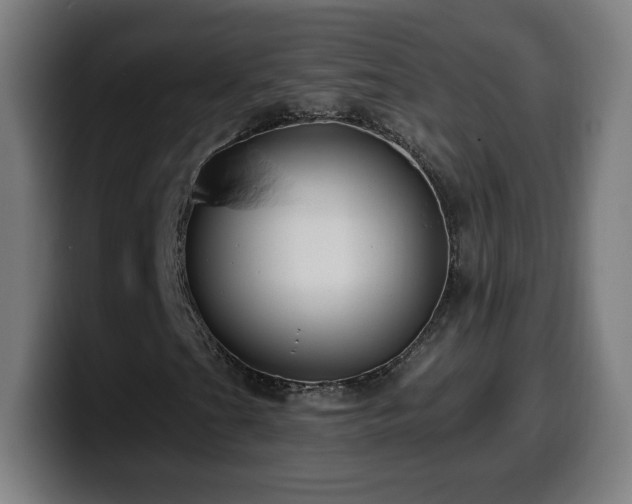 X0000099951201200805301230