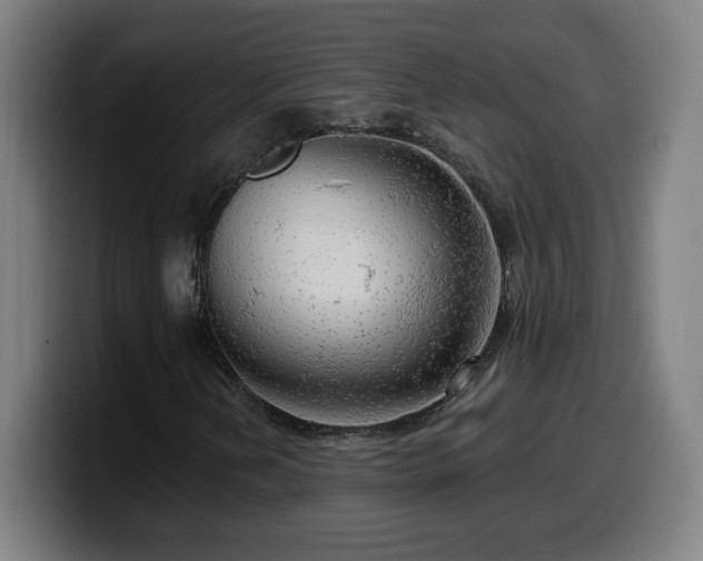 X0000099951202200805301230