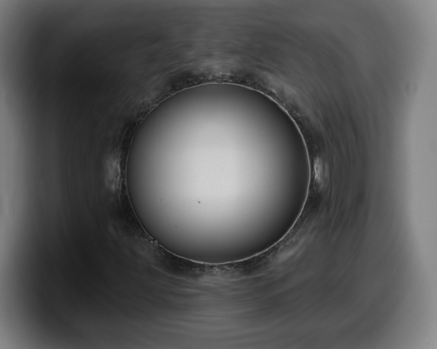 X0000099951203200805301230